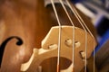 strings of an old contrabass closeup with background Royalty Free Stock Photo