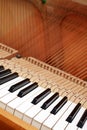 Strings of open piano Royalty Free Stock Photo
