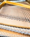 Strings and pins inside classical piano