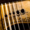 Strings and Shadows on a Vintage Stringed Instrument Royalty Free Stock Photo