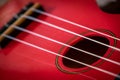 Strings of ukelele Royalty Free Stock Photo