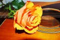 Strings and yellow rose, symbols Royalty Free Stock Photo