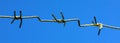 A strip of barbed cold wire on a perishable blue sky. Barbed wire fence. Prohibited zone Royalty Free Stock Photo