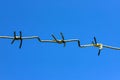 A strip of barbed cold wire on a perishable blue sky. Barbed wire fence. Prohibited zone Royalty Free Stock Photo