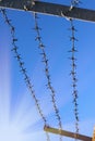 A strip of barbed cold wire in a perishable blue sky. Rays of the sun. Barbed wire fence. Prohibited zone, restriction of freedom. Royalty Free Stock Photo