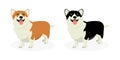 A strip of dogs breed Welsh Corgi. Row of dogs. Pattern of funny doggies Royalty Free Stock Photo