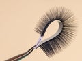 Strip for eyelash extensions on a uniform tone, twisted, held with tweezers. Industry artificial eyelashes, eyelash extensions,