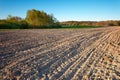 A strip of plowed field and a forest on the horizon Royalty Free Stock Photo