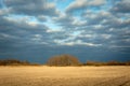 A strip of plowed field, trees on the horizon and dark clouds on the blue sky Royalty Free Stock Photo