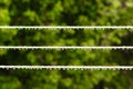 Strip rope for washing laundry with rain drops outdoor. Royalty Free Stock Photo
