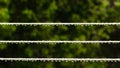 Strip rope for washing laundry with rain drops outdoor. Royalty Free Stock Photo