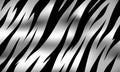 stripe animal jungle bengal tiger fur texture pattern white and black. Royalty Free Stock Photo