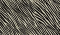 stripe animals jungle bengal tiger fur texture pattern seamless repeating white black. animal pattern zebra or tiger print . black Royalty Free Stock Photo