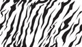 Stripe animals jungle bengal tiger fur texture pattern seamless repeating white black Royalty Free Stock Photo