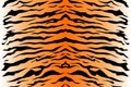 Pattern texture tiger repeat seamless. Vector image. orange black white Royalty Free Stock Photo