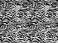 Stripe animals jungle tiger fur texture pattern seamless repeating white black