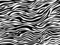 Stripe animals jungle tiger zebra fur texture pattern seamless repeating white black Royalty Free Stock Photo