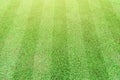 Stripe grass soccer field. Sport lawn background