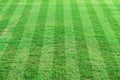Stripe grass soccer field. Sport lawn background