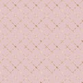 Stripe grunge plaid pastel pink seamless pattern with gold glitter line contour background Royalty Free Stock Photo