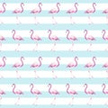 Stripe Summer Flamingo Pattern Background