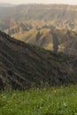 Stripe of sunny alpine meadow with blooming flowers and green grass on slope with ridges of mountain in distance, blur. Bright. Royalty Free Stock Photo