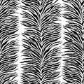 Stripe zebra print