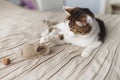 A striped adult cat lies on the bed and playing toy mouse.