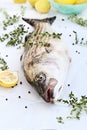 Striped Bass With Fresh Herbs and Lemons Royalty Free Stock Photo