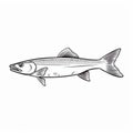 Striped Bass Illustration: A Stylish Depiction Of Americana Iconography Royalty Free Stock Photo