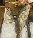 Striped bass in restaurant supply chain