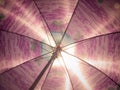 Striped beach umbrella