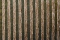 Striped beige green fabric texture