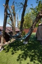 Striped blue-green hammocks are tied with ropes to trimmed trees Royalty Free Stock Photo