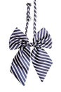 Striped bow tie for women Royalty Free Stock Photo