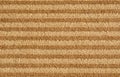 Striped Brown Carpet