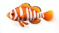 Striped Clownfish: Lifelike Figure With Copper Orange Fins