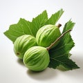 Striped Compositions: Three Green Figs With Leaves On White Background