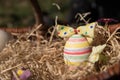 Striped easter egg in a basket