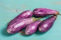 Striped Eggplant