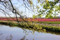 Striped field of beautiful colorful tulips behind water chanel with sky reflections under young green trees. Spring time