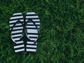 Striped Flip-Flops on Green Grass Royalty Free Stock Photo