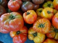 Striped German tomato, Solanum lycopersicum Striped German Royalty Free Stock Photo
