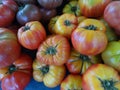 Striped German tomato, Solanum lycopersicum Striped German Royalty Free Stock Photo