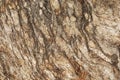 Striped grangy granite stone surface