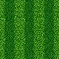 Striped green grass field seamless Royalty Free Stock Photo