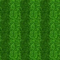 Striped green grass field seamless vector texture Royalty Free Stock Photo