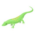 Striped green lizard icon, isometric style