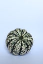 striped green and white pumpkin on white