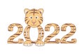 2022 striped hand lettering with cute little tiger for festive design Royalty Free Stock Photo